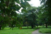 Obrázok k aktualite Michalovce začínajú s obnovou historického parku Kerta